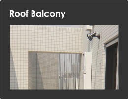 Roof Balcony
